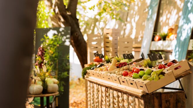 ο-πληθωρισμός-στο-χωράφι-564082237