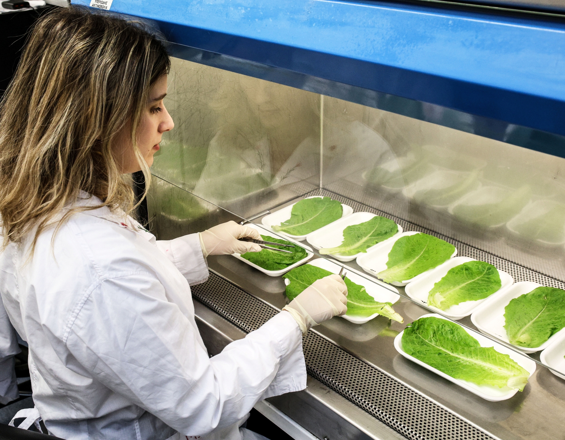 Ψηφιακός ντετέκτιβ στο πιάτο μας-3