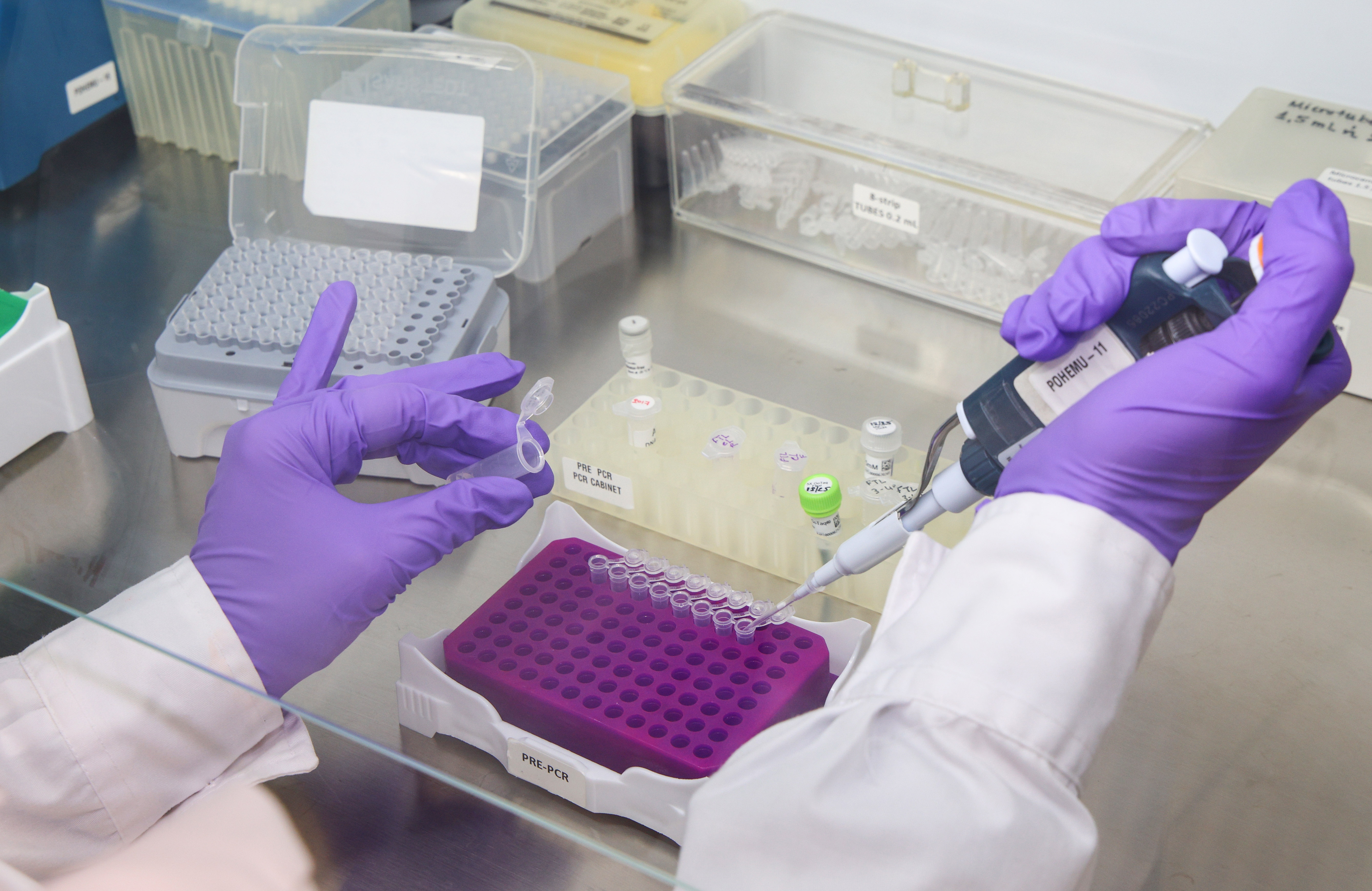 «Εδώ δεν υπάρχει ωράριο, όλα είναι επείγοντα»-6