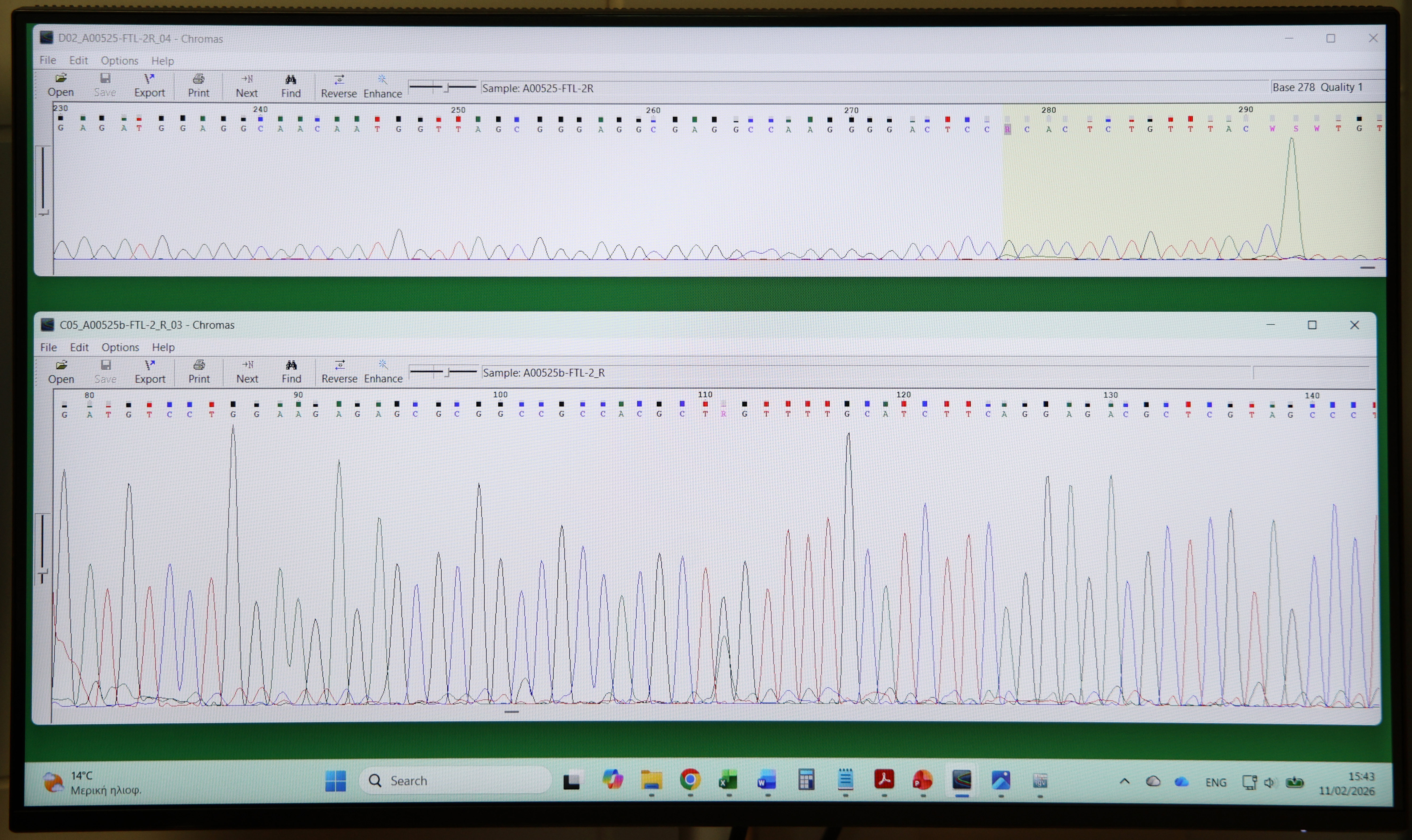 «Εδώ δεν υπάρχει ωράριο, όλα είναι επείγοντα»-4