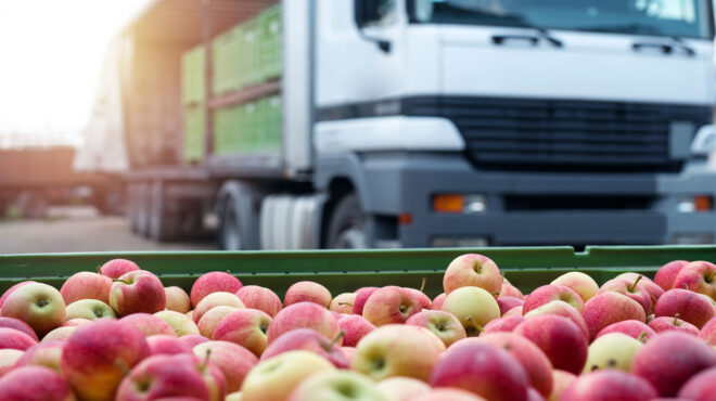 αντεξαν-στον-εμπορικό-πόλεμο-οι-εξαγω-564066883