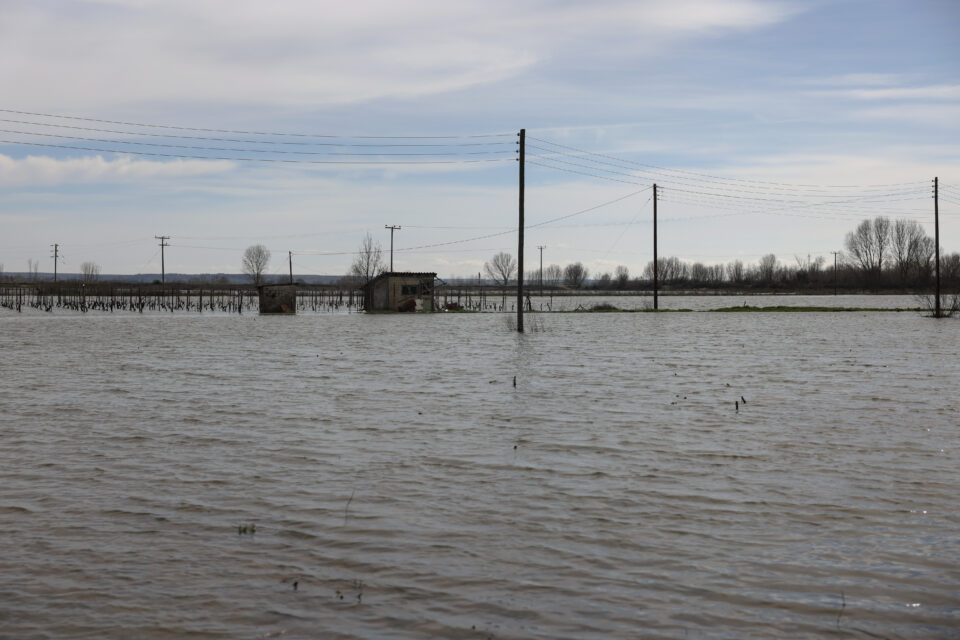 Η «Κ» στον Εβρο: Βλέπουν τα χωράφια τους να «πνίγονται» λίγους μήνες μετά τη σπορά-3