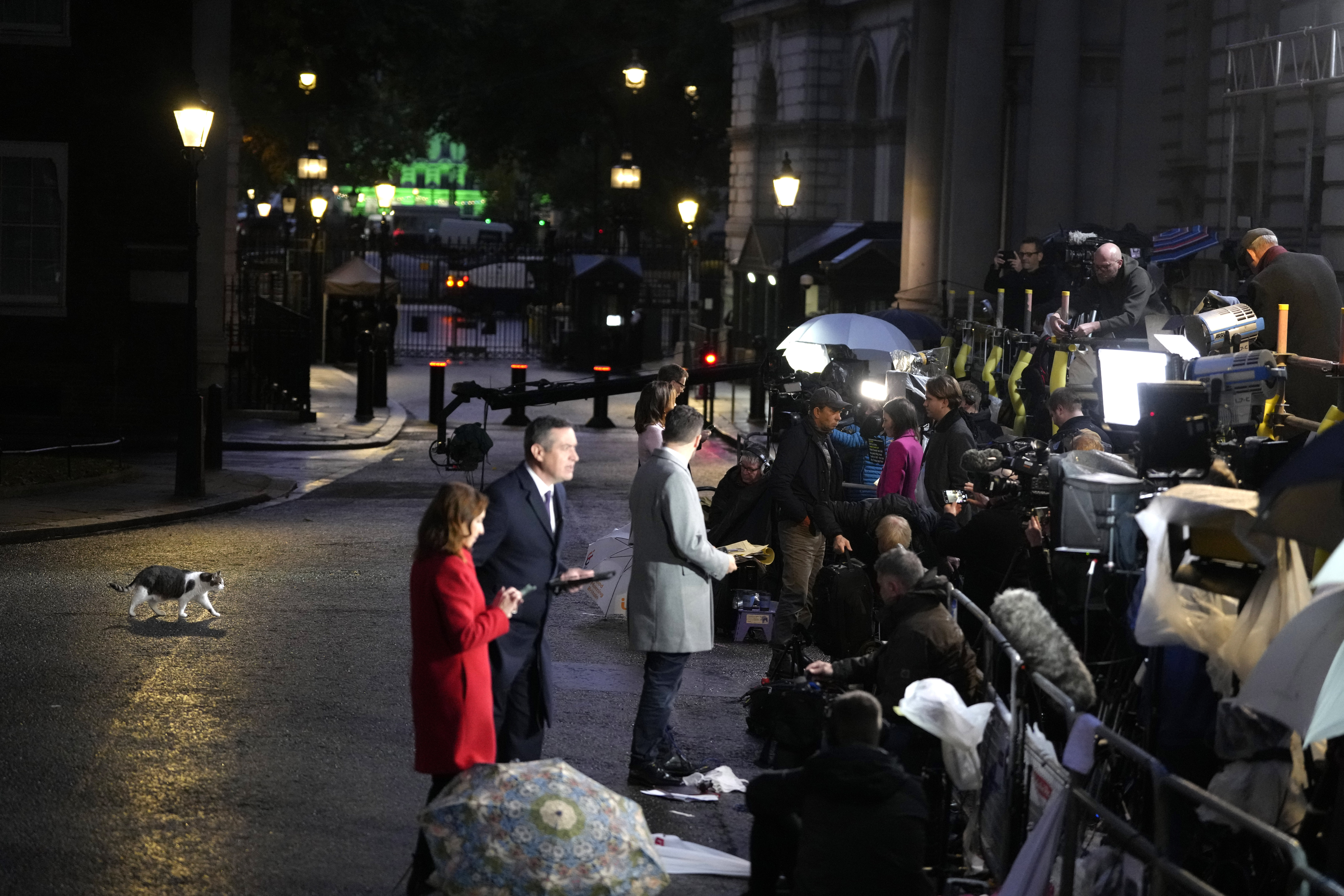 Εξι Βρετανοί πρωθυπουργοί, αμέτρητοι ηγέτες: Ο Λάρι έκλεισε 15 χρόνια στην Ντάουνινγκ Στριτ-11