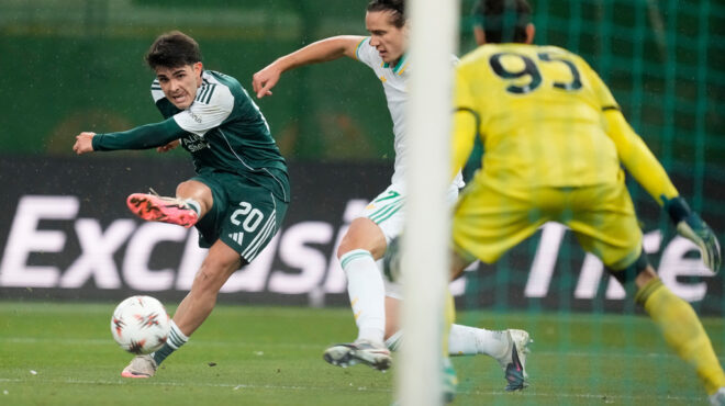 σπαρμένος-με-τριφύλλι-ο-δρόμος-για-τ-564054967