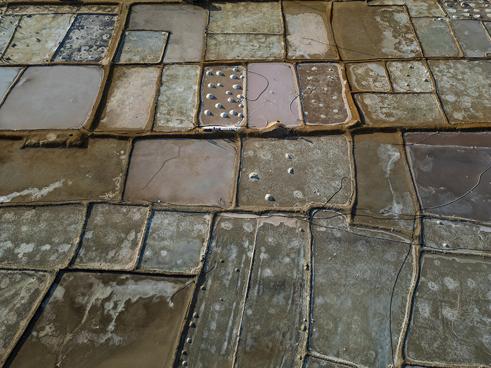 Μια σημαντική δημοπρασία-2