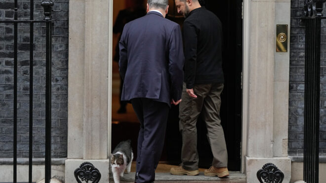 πώς-οι-γάτες-μπορούν-να-φωτίσουν-τα-μ-564080275