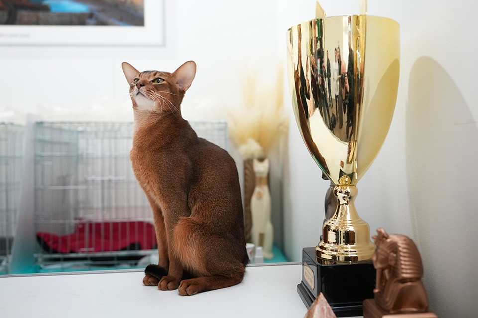 Γιορτή για τον έρωτα-2