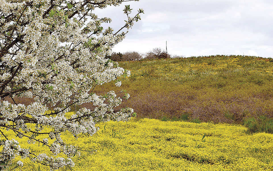 Ακυρώνει τα αντιπλημμυρικά στον Ερασίνο το υπουργείο Υποδομών-1