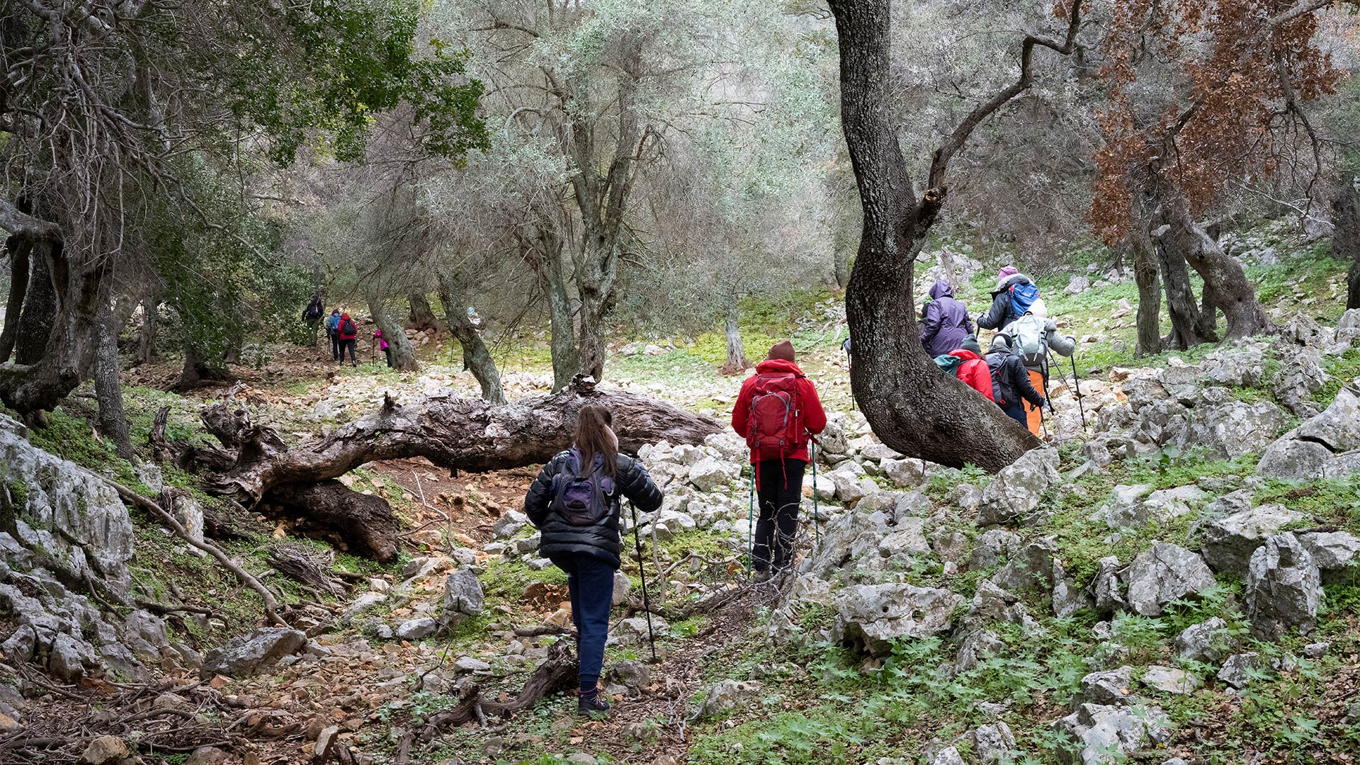 Απόκριες στη Σκύρο: Το αρχέγονο καρναβάλι του Αιγαίου-6