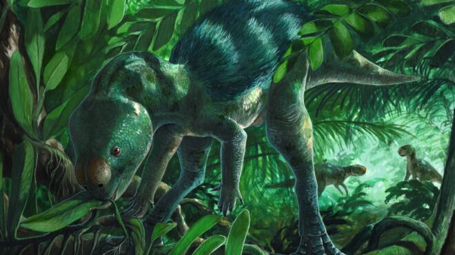 ο-νέος-μικροσκοπικός-δεινόσαυρος-ρίχ-564055759