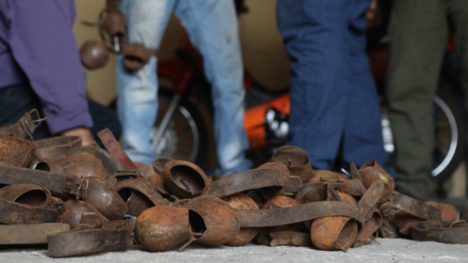 Μεσότοπος Λέσβου: Κουδούνια, προβιές και εκρηκτική ατμόσφαιρα-2