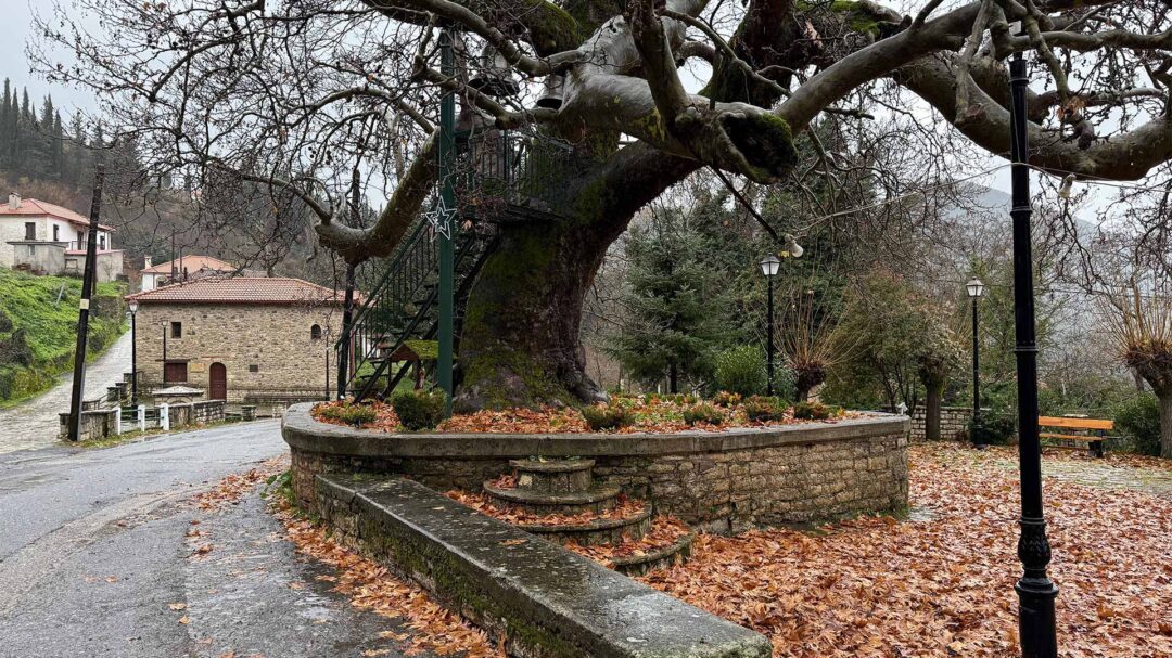 χειμερινή-εξόρμηση-στην-αρoανία-το-κατ-564069679