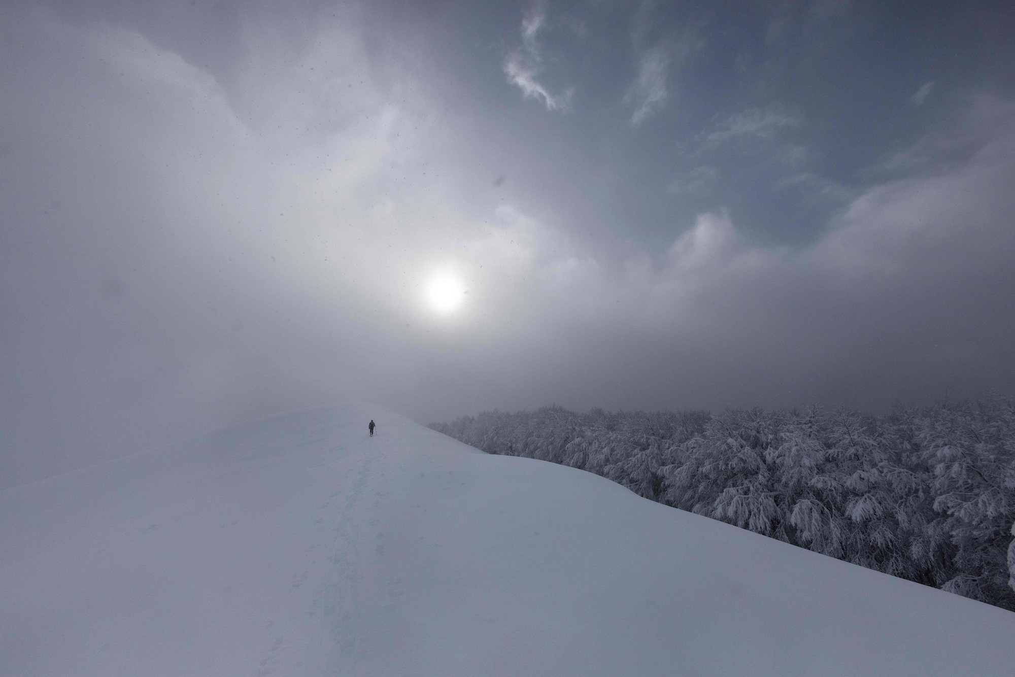 Μέτσοβο, το φυτώριο των σκιέρ-7