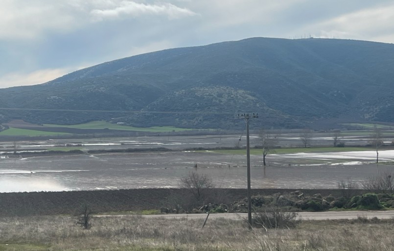 Λάρισα: Υπερχείλισε ο Πηνειός – Εκτεταμένες ζημιές σε αγροτικές εκτάσεις-1