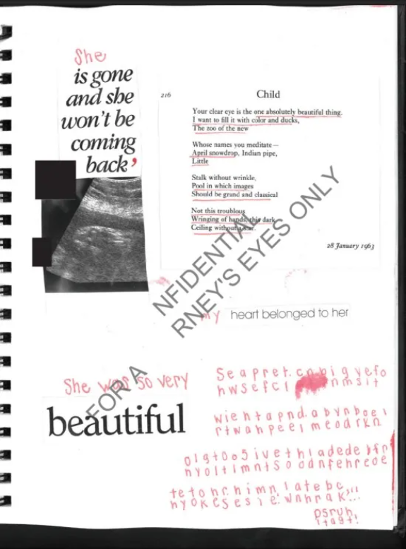 Ο Τζέφρι Επσταϊν είχε «κρυφό παιδί που άρπαξαν στη γέννα από τη μητέρα του»-1