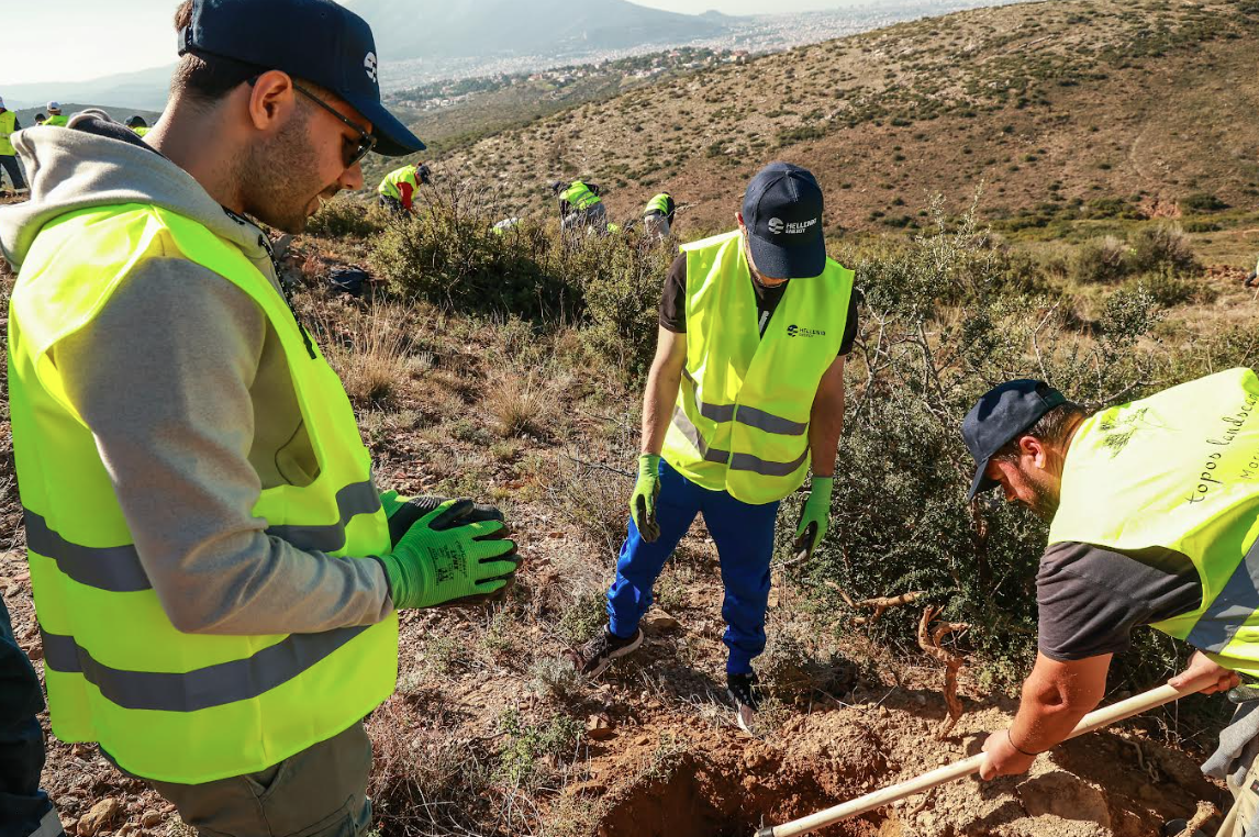 Αναδάσωση σε Πεντέλη και Παλλήνη στο πλαίσιο της περιβαλλοντικής στρατηγικής της HELLENiQ ENERGY-2