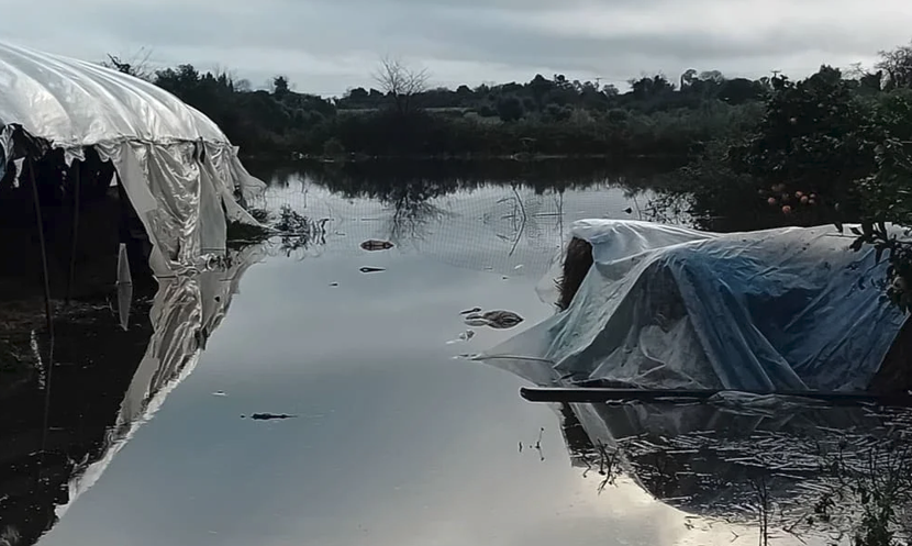 Προβλήματα από την έντονη βροχόπτωση σε Ιόνιο και Πρέβεζα-3