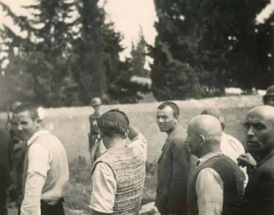 Κάτοχος φωτογραφιών Καισαριανής στην «Κ»: Διέκοψα τη δημοπρασία, αναμένω το ελληνικό κράτος-2