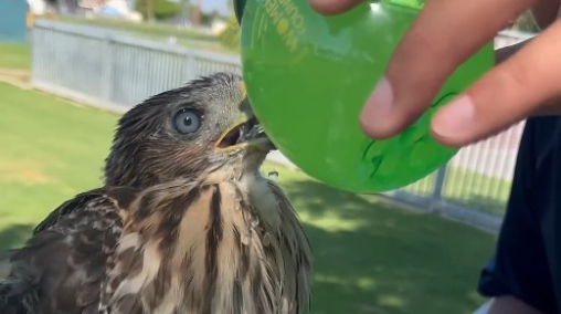 καλιφόρνια-φυλάκιση-και-πρόστιμο-σε-25χ-564097444