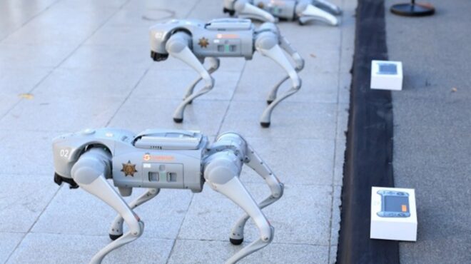 ρομπότ-σκύλοι-στην-υπηρεσία-των-μεξ-564070123