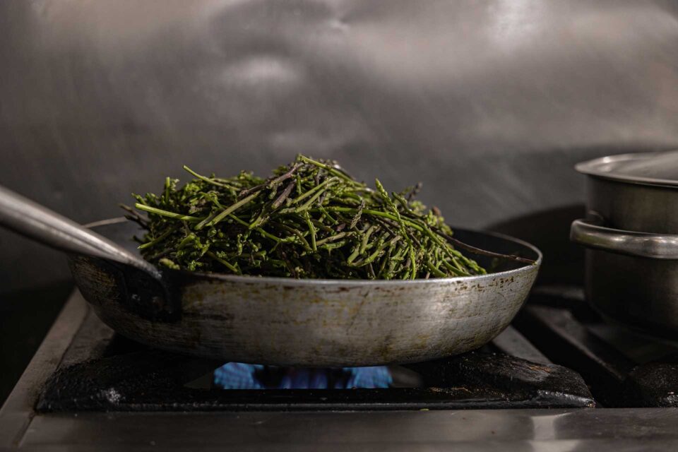 Ο καιρός των σπαραγγιών-2