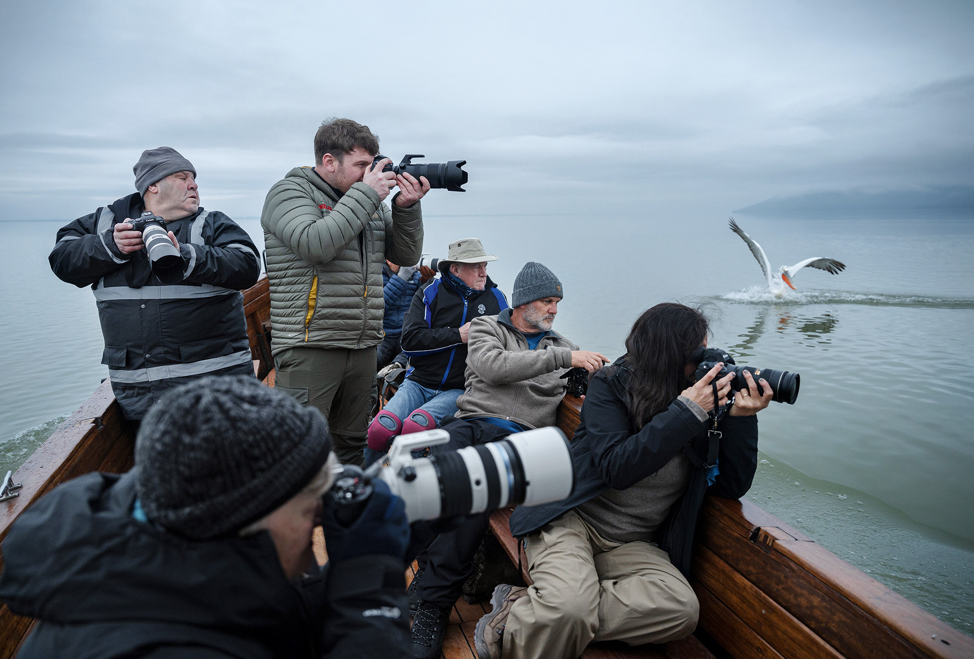 Στη λίμνη Κερκίνη, για να δούμε από κοντά ένα χειμερινό «θαύμα»-1