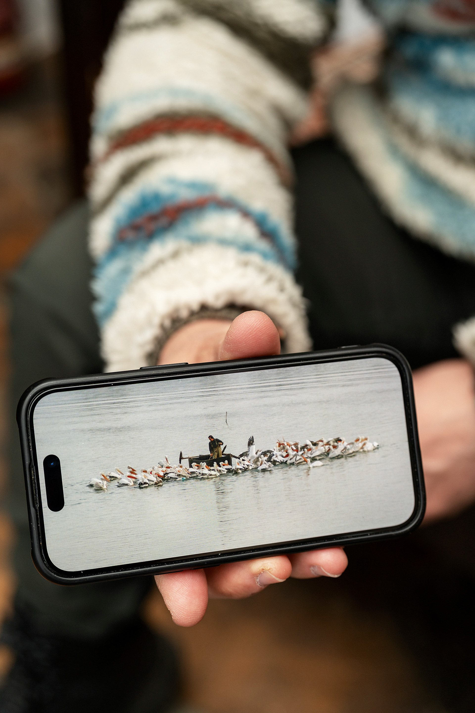 Στη λίμνη Κερκίνη, για να δούμε από κοντά ένα χειμερινό «θαύμα»-2