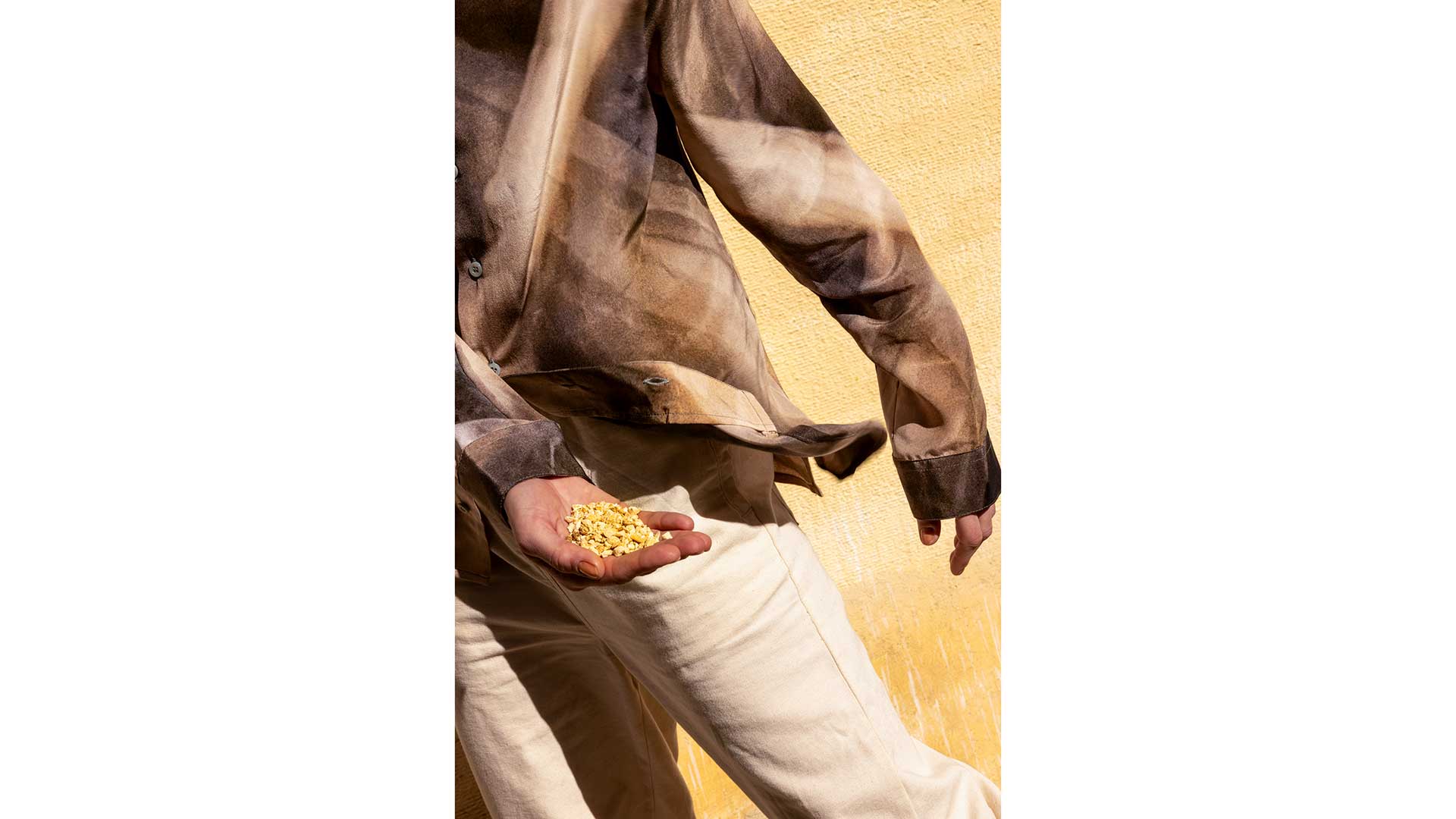 μια-ρίζα-αξίας-δεκάδων-χιλιάδων-δολαρ-564086590