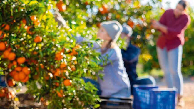 σε-μία-διετία-ιδρύθηκαν-182-000-ατομικές-ετα-564102364