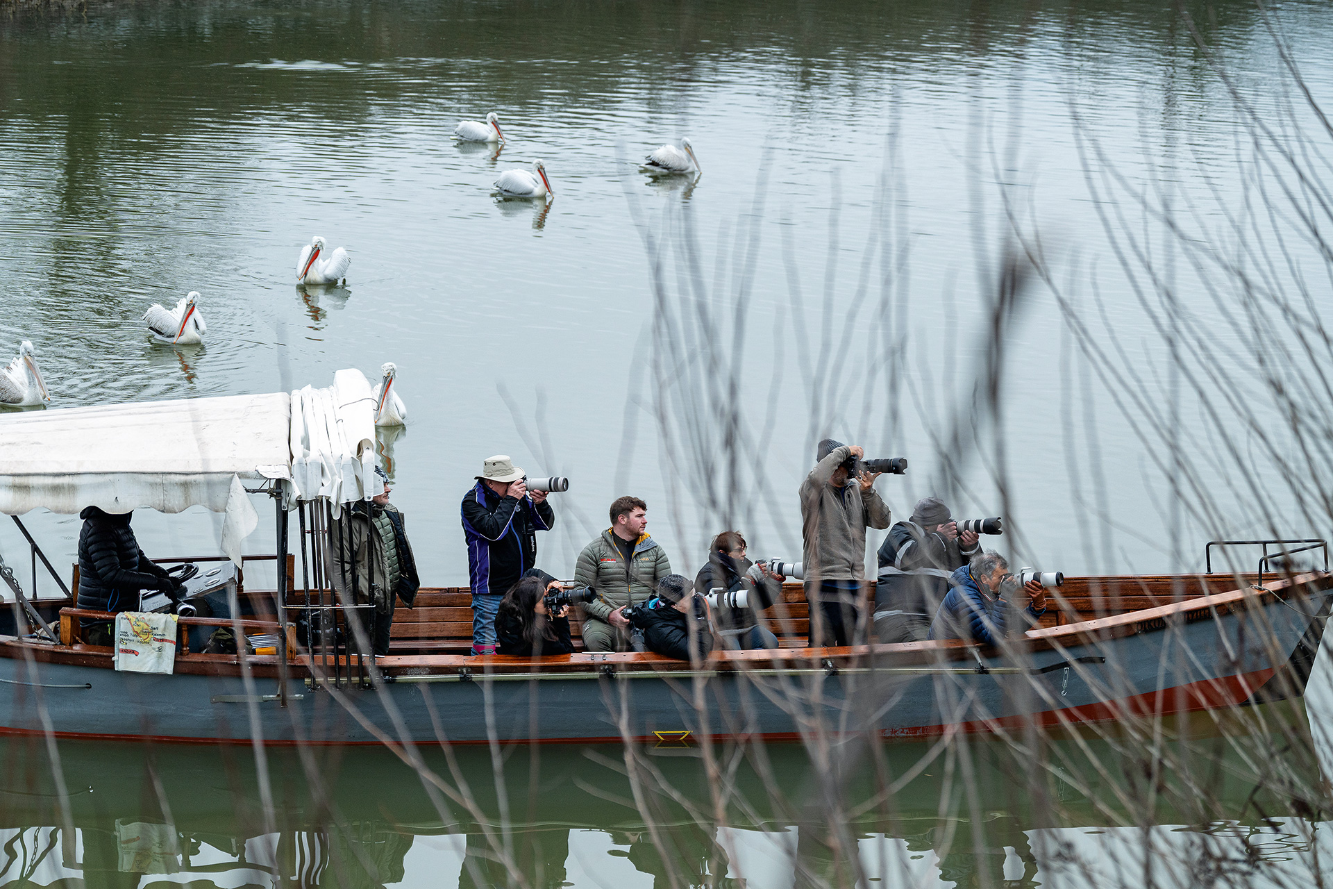 Στη λίμνη Κερκίνη, για να δούμε από κοντά ένα χειμερινό «θαύμα»-5