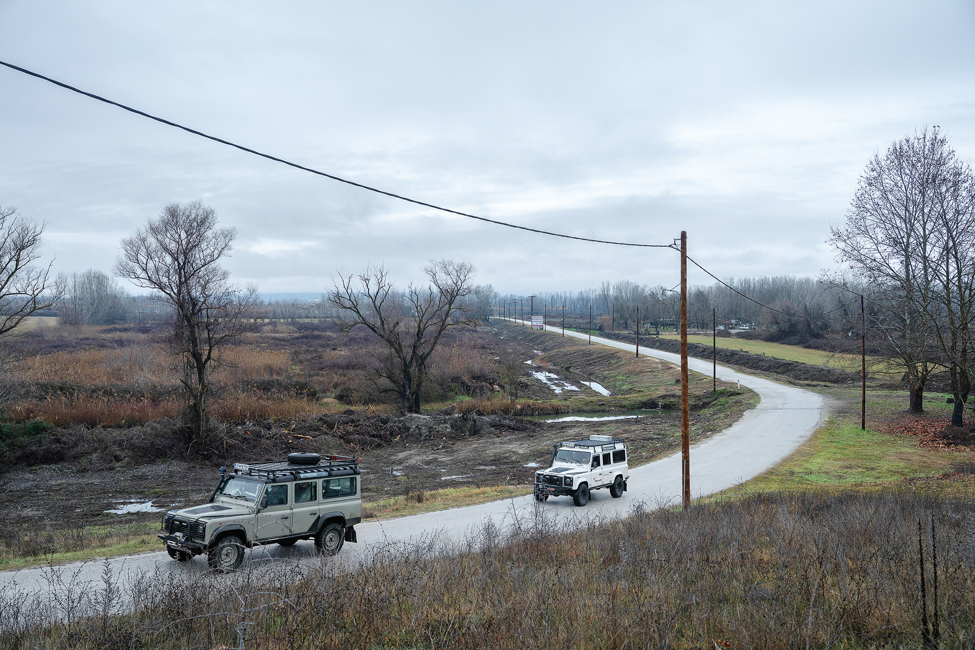 Στη λίμνη Κερκίνη, για να δούμε από κοντά ένα χειμερινό «θαύμα»-6