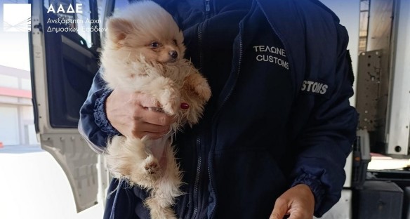 στην-τσιμπίδα-της-ααδε-από-ναρκωτικ-564093538