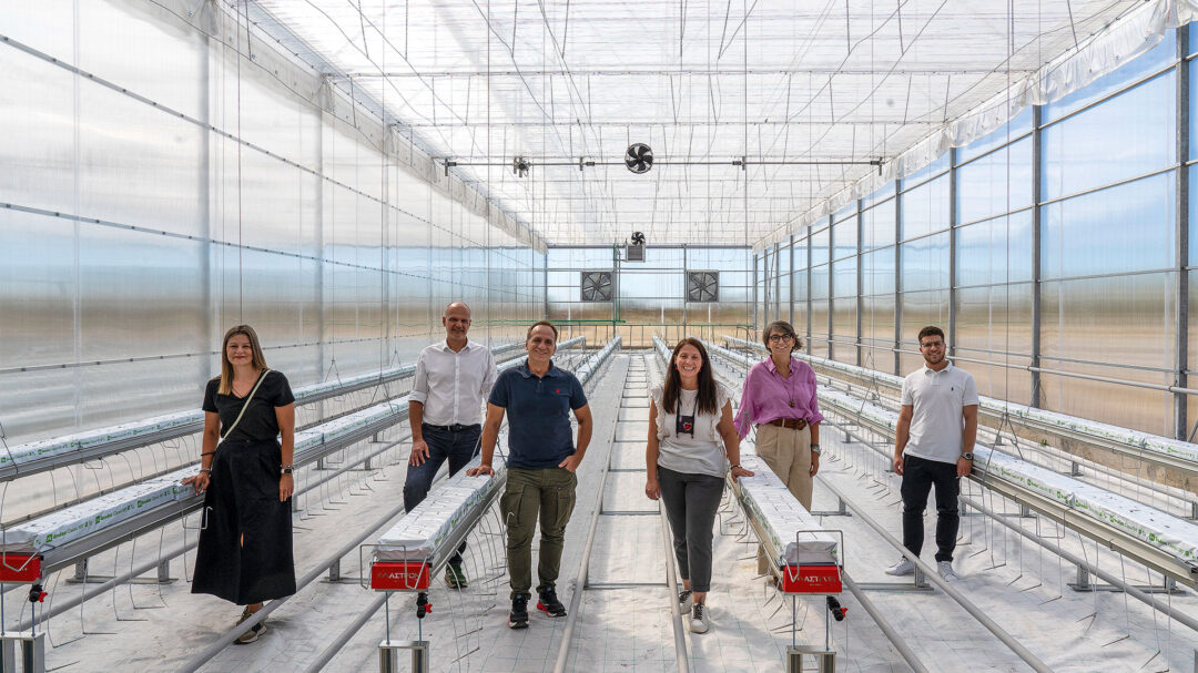 πώς-η-ψηφιακή-γεωργία-αλλάζει-την-αγρο-564084385