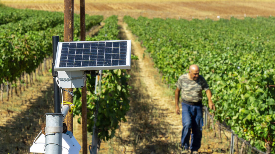 Πώς η ψηφιακή γεωργία αλλάζει την αγροτική ζωή στη Θράκη-3