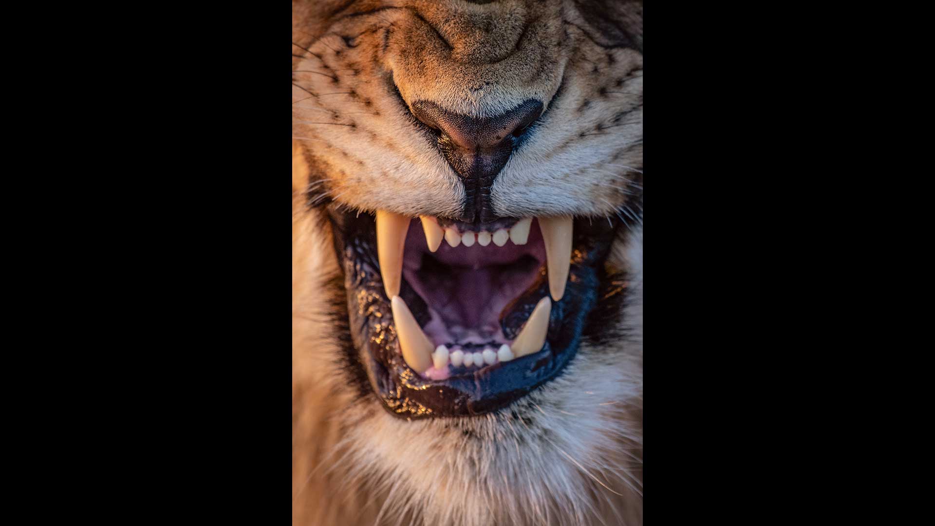 η-ιστορία-του-τζέικομπ-του-μονόφθαλμο-564097912