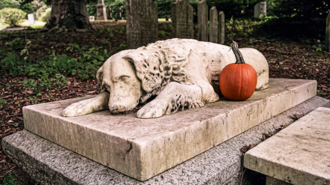 αλήθεια-πού-πάνε-564062596