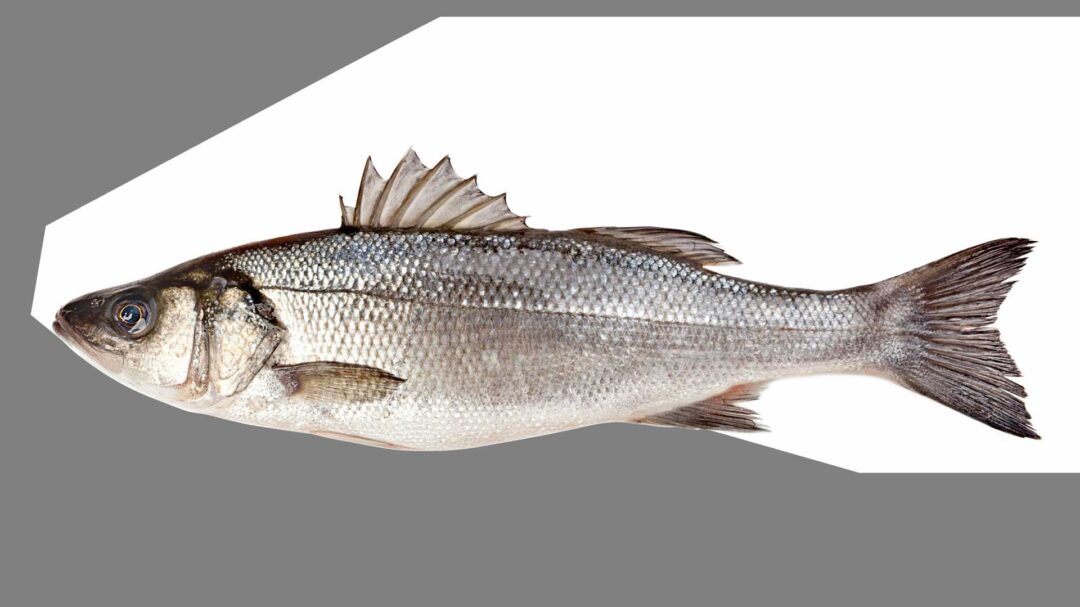 στραφείτε-στα-ψάρια-για-μια-υγιή-καρδι-564084664