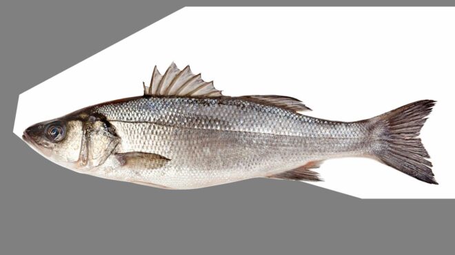 στραφείτε-στα-ψάρια-για-μια-υγιή-καρδι-564084664