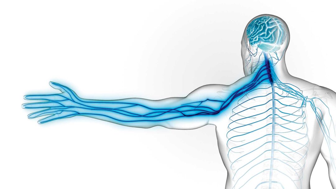 αντιμετωπίστε-δυναμικά-τα-πιασμένα-564072829