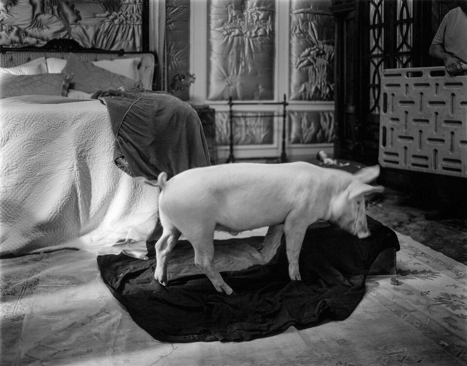 Γιώργος Λάνθιμος στο Κ: «Το να κάνεις σινεμά ελεύθερος είναι τεράστιο δώρο»-3