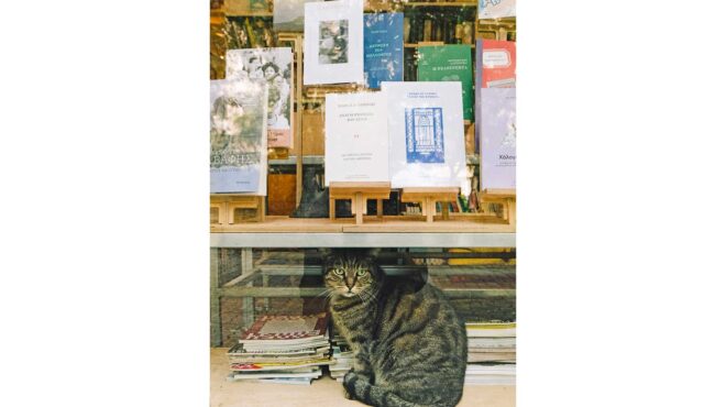 βραβεία-με-οσμή-ληξιαρχείου-564088948