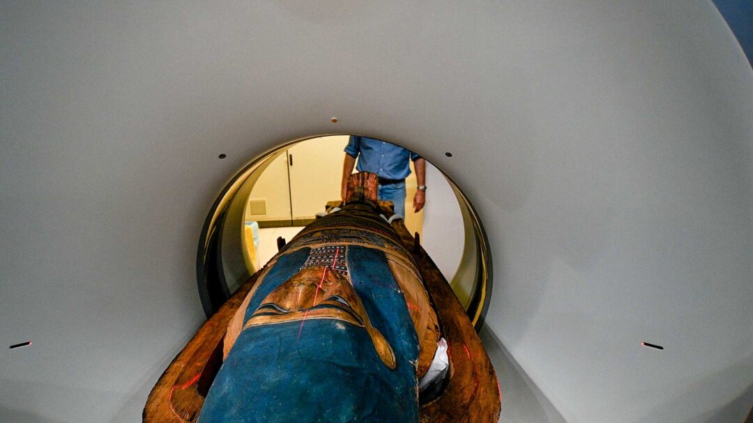 οι-μούμιες-της-αθήνας-στον-αξονικό-564076963