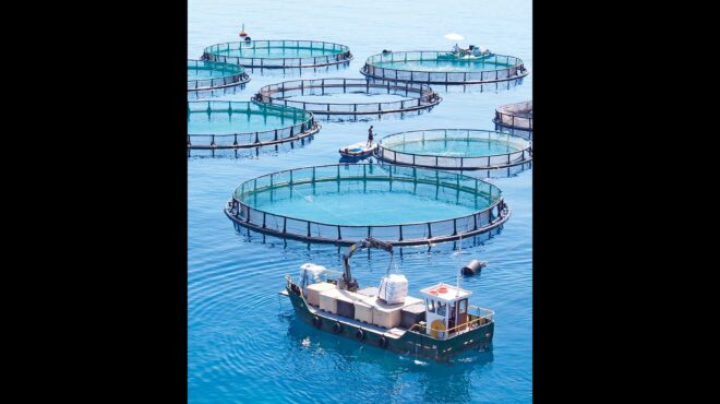 επικράτησε-η-aqua-bridge-στη-μάχη-για-την-avramar-564091897