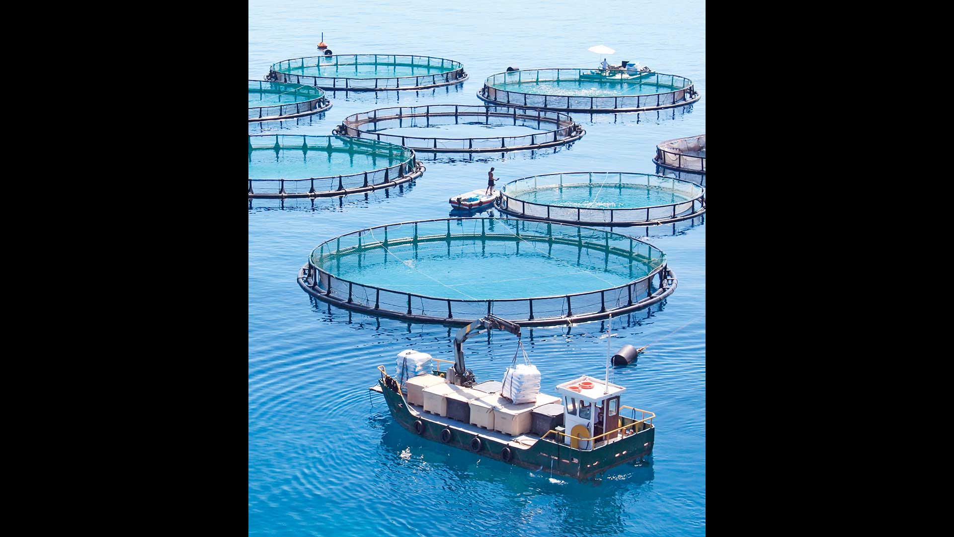 επικράτησε-η-aqua-bridge-στη-μάχη-για-την-avramar-564091897