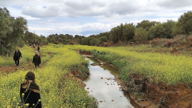 ακυρώνει-τα-αντιπλημμυρικά-στον-ερασ-564068605