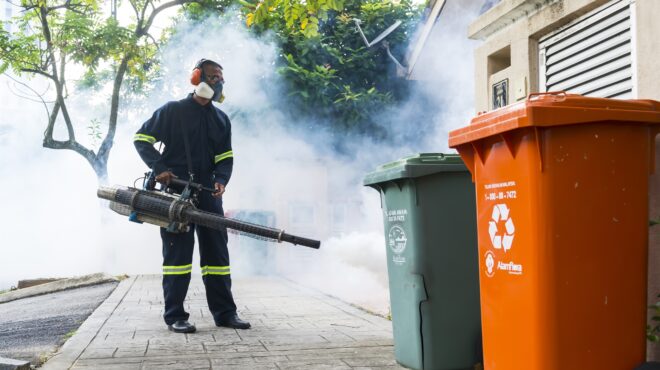 τροπικά-κουνούπια-απειλούν-και-την-ευ-564085084