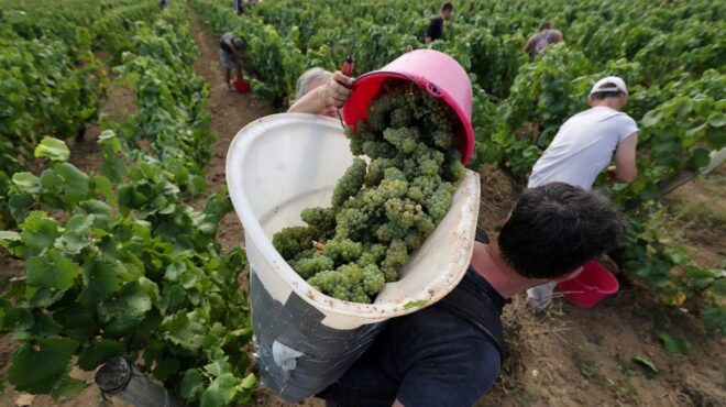 διπλό-μπλόκο-από-κομισιόν-στην-επέλασ-564071713