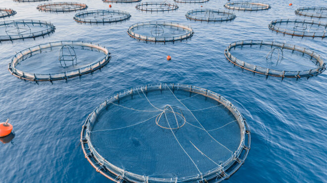 επιμένει-ο-cooke-για-avramar-προτείνει-αμκ-πάνω-564095176