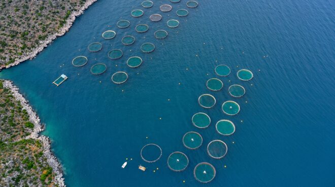 στον-όμιλο-cooke-το-100-της-avramar-seafood-η-σημασία-του-deal-564070474