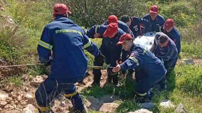 τουρκοβούνια-επεσε-από-γκρεμό-επτά-μέ-564092350